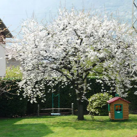 克拉拉住宿加早餐旅馆 Esine
