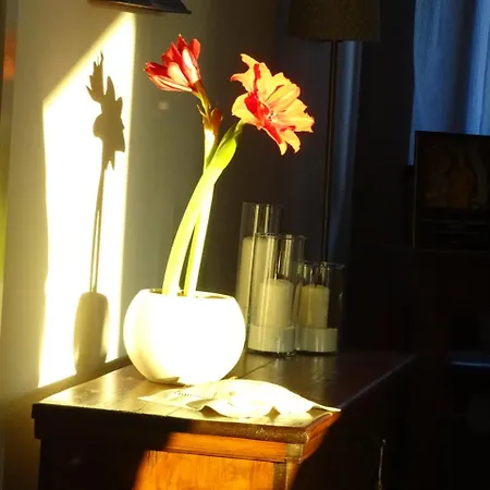 La Casa Di Clara Bed & Breakfast